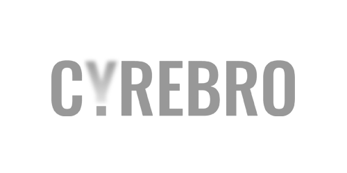 NETICS_Partner_Monitoreo_y_Gestion_Cyrebro