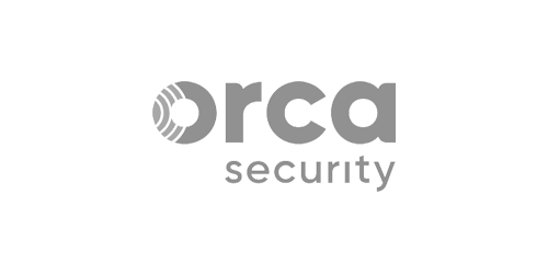 NETICS_Partner_Monitoreo_y_Gestion_Orca_Security